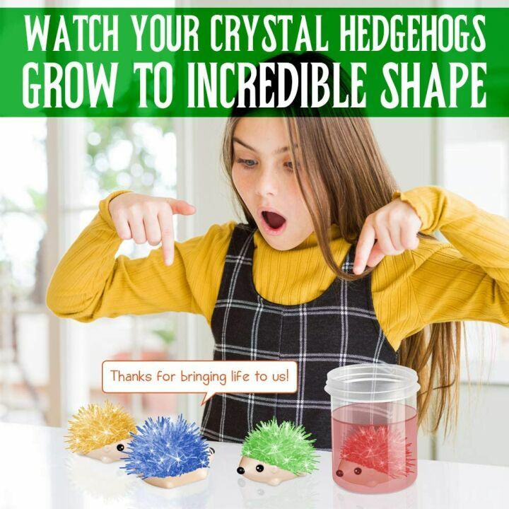 XXTOYS Crystal Growing Kit - Fun STEM Toys for Kids