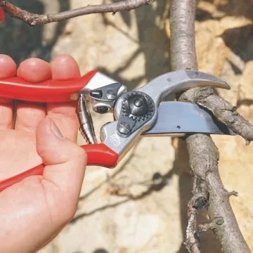 FELCO F-2 Hand Pruner - Ergonomic, Durable, Precise
