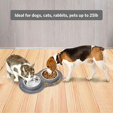 Kulmeo Dog Food Bowl Cat Food Bowls Stainless Steel Dog Food and Water Bowls with Non Skid Silicone Mat Spill Proof Puppy Bowl 14oz (M, Grey)