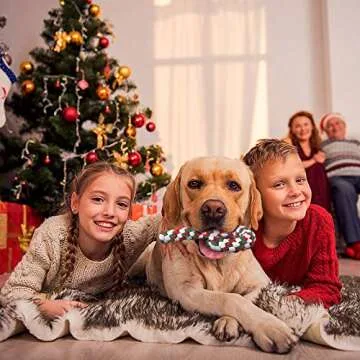 2 Pieces Christmas Pet Chew Toys Candy Cane Dog Rope Toy Dog Chew Rope Toys for Christmas Dog Puppy Pets Chewing(Mixed Red, Green, White)