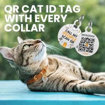 BRONZEDOG Leather Cat Collar with Removable Bells Non Breakaway Kitten QR Tag for Girl Boy (7" - 9" for Cats, Light Brown & Gold)