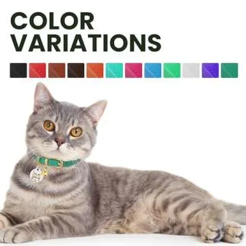 BRONZEDOG Leather Cat Collar with Removable Bells Non Breakaway Kitten QR Tag for Girl Boy (7" - 9" for Cats, Light Brown & Gold)