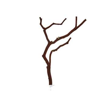 Large Manzanita Bird Perch: Natural Comfort for Birds (11-12 inches)