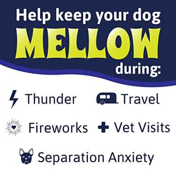 Mellow Shirt Dog Anxiety Calming Wrap, Small, Radiant Orchid