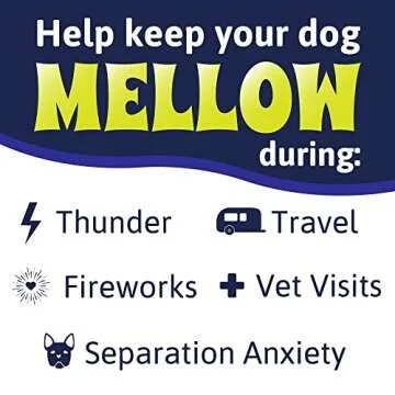 Mellow Shirt Dog Anxiety Calming Wrap, Small, Radiant Orchid