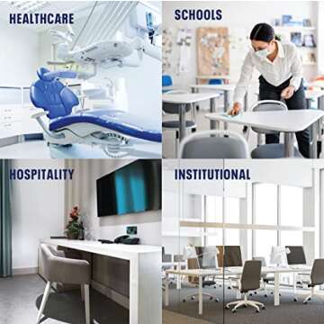 Bioesque Botanical Disinfectant Solution - Kills 99.9% Bacteria & Viruses