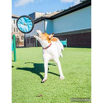 OllyDog Flyer Disc, Dog Frisbee, Lightweight and Floating, Dog Toys Interactive, Dog Stuff, Gentle on Teeth and Gums (Atlantic)