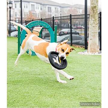 OllyDog Flyer Disc, Dog Frisbee, Lightweight and Floating, Dog Toys Interactive, Dog Stuff, Gentle on Teeth and Gums (Atlantic)