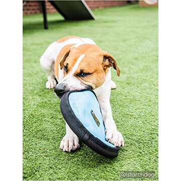 OllyDog Flyer Disc, Dog Frisbee, Lightweight and Floating, Dog Toys Interactive, Dog Stuff, Gentle on Teeth and Gums (Atlantic)