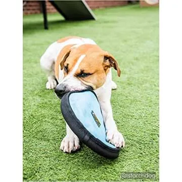 OllyDog Flyer Disc, Dog Frisbee, Lightweight and Floating, Dog Toys Interactive, Dog Stuff, Gentle on Teeth and Gums (Atlantic)
