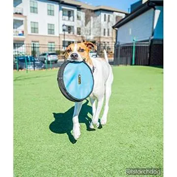 OllyDog Flyer Disc, Dog Frisbee, Lightweight and Floating, Dog Toys Interactive, Dog Stuff, Gentle on Teeth and Gums (Atlantic)