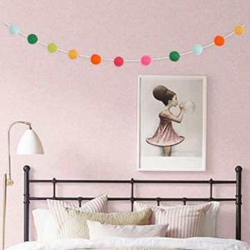 36PC Colorful Felt Wool Balls Garland for Parties