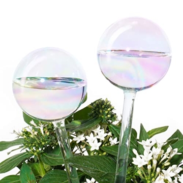 [2 PCS] Light Iridescent Rainbow Gradient Color Clear Glass Self-Watering System Spikes, Automatic P...