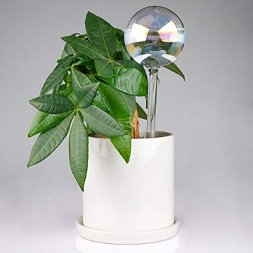 Elegant Self-Watering Glass Bulbs for Easy Plant Care