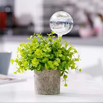 Elegant Self-Watering Glass Bulbs for Easy Plant Care
