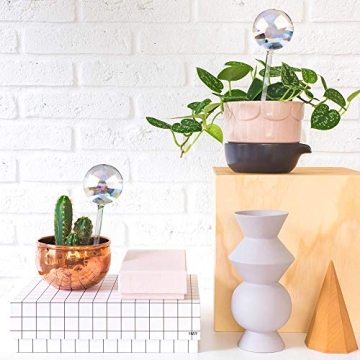 Elegant Self-Watering Glass Bulbs for Easy Plant Care