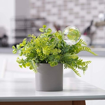 Elegant Self-Watering Glass Bulbs for Easy Plant Care