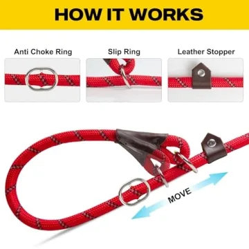 Fida Slip Lead – 6 FT Pet Training Leash for All Dogs