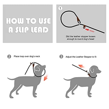 Fida Slip Lead – 6 FT Pet Training Leash for All Dogs