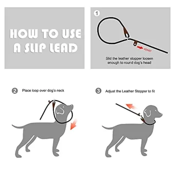 Fida Slip Lead – 6 FT Pet Training Leash for All Dogs