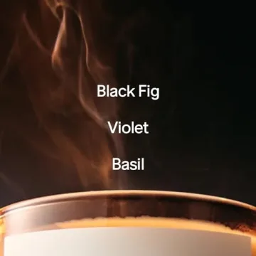 SALT & STONE Scented Candle - Long-Lasting Fig & Violet Aroma