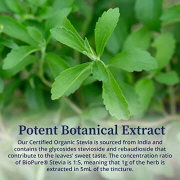 BioPure Stevia Certified Organic Extract – Whole Leaf Herbal Tincture with Bioactive Compounds to Support Immune Function, Microbiome Balance & Gut Health – 2 fl oz