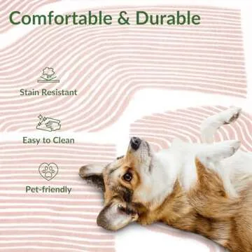 ODIKA Ultra Soft Area Rug 8x10, Non Slip, Stain Resistant Living Room Rug, Washable Area Rugs for Living Room, Rugs for Bedroom, Modern Abstract Style (Pink, 8x10)