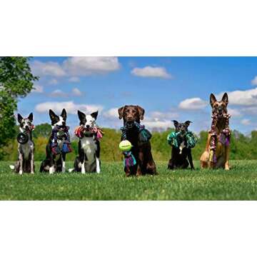 Mammoth Flossy Chews Rope Tug – Premium Cotton-Poly Tug Toy for Dogs – Interactive Rope Toy (Colors May Vary)