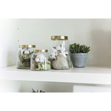 Creative Co-Op Round Glass Jars with Brass Finish Lids (Set of 3 Sizes)