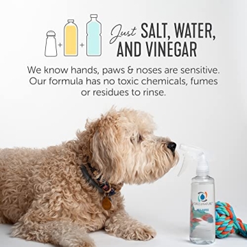 Eco-Friendly Multi-Purpose Cleaner & Deodorizer Bundle