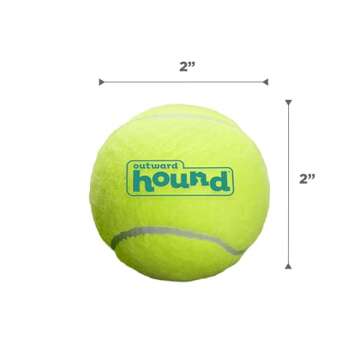 Outward Hound Squeaker Ballz Fetch Dog Toy, Small- 4 Pack
