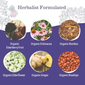 Earth Mama Elderberry Immune Tea for All Family and Moms