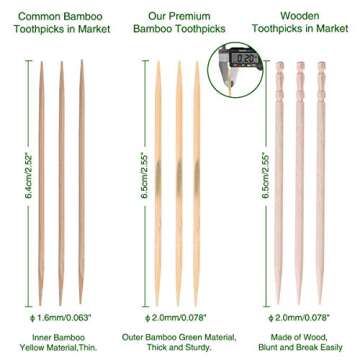 Minisland 2mm Thick Premium Bamboo Wood Toothpicks 1200 Counts in 20 Small Packs Bulk Round Sturdy Tooth Picks for Teeth Clean Kitchen Appetizers Travel Portable Disposable - MSL142