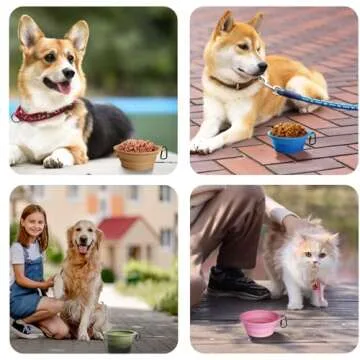 PetBonus 2-Pack Silicone Collapsible Dog Bowls, BPA Free Dishwasher Safe, Portable Foldable Expandable Travel Bowl, Food Water Feeding Cup Dish for Dogs Cats with 2 Carabiners (Turquoise, Tan)