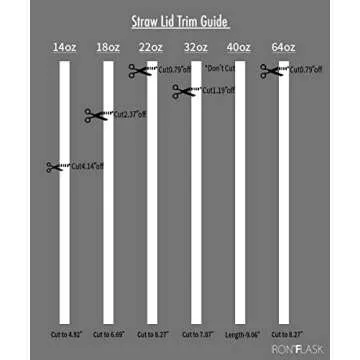 IRON °FLASK Carabiner Straw Lid for Sports Bottles | 2 Lids, 4 Straws