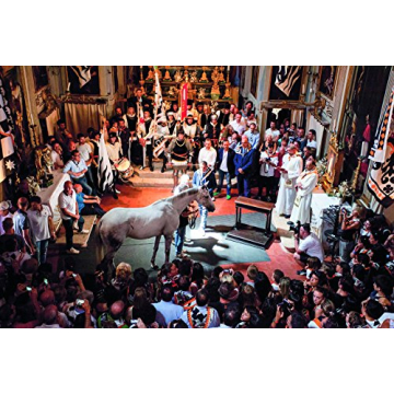 Equestrian Apparel for Style and Performance