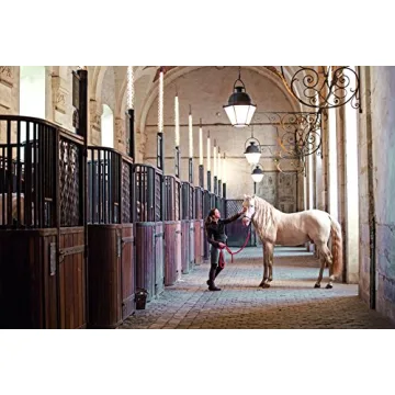Equestrian Apparel for Style and Performance