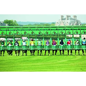 Equestrian Apparel for Style and Performance