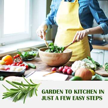 Meekear 10 Kit Non-GMO Growing into Thyme, Lavender, Chamomile, Dill, Chives, Cilantro, Rosemary, Basil, Parsley, Sage Indoor/Outdoor for Kitchen Windowsill Gardening Gift