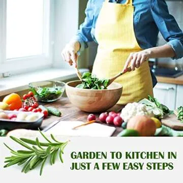 Meekear 10 Kit Non-GMO Growing into Thyme, Lavender, Chamomile, Dill, Chives, Cilantro, Rosemary, Basil, Parsley, Sage Indoor/Outdoor for Kitchen Windowsill Gardening Gift