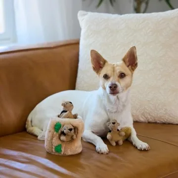 Interactive Hide A Squirrel Plush Dog Toy Puzzle