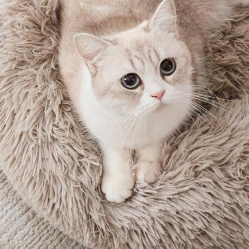 Calming Dog & Cat Bed - Cozy Faux Fur Donut Design