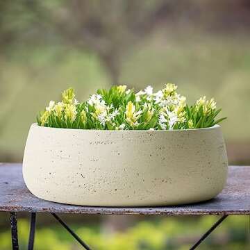 Olly & Rose Large Ceramic Planter Bowl Shallow Plant Pot - Elegant Off White Cream Decorative Pot fo...
