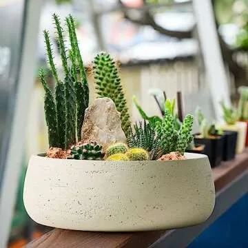 Olly & Rose Large Ceramic Planter Bowl for Indoor and Outdoor Use