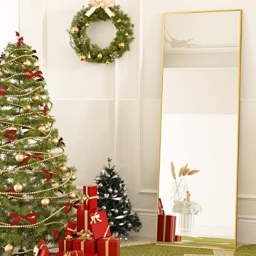 HARRITPURE Full Length Mirror with Aluminum Frame - 65"x22"