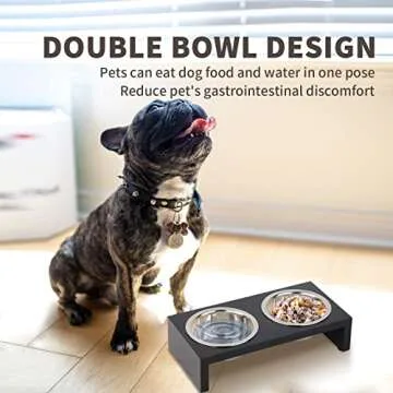 PAWISE Elevated Dog Bowls, Raised Cat Feeder Elevated Food and Water Bowls Stand with 2 Stainless Steel Bowls and Anti Slip Feet, Wooden Frame Pet Feeder 750 Ml
