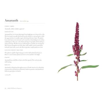 Edible Wild Plants for Beginners: The Essential Edible Plants and Recipes to Get Started