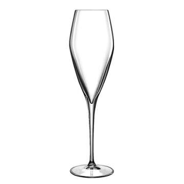 Luigi Bormioli - 08748/07 Luigi Bormioli Atelier 9.25 oz Champagne Glasses, Set of 6, Clear