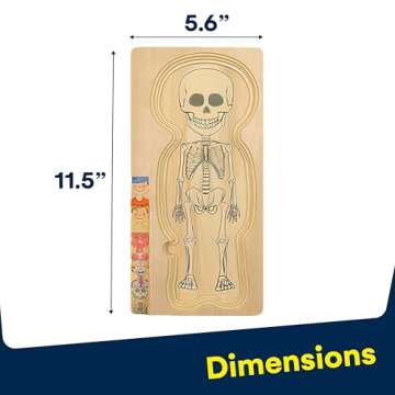 Kidzlane Boy Wooden My Body Puzzle for Toddlers & Kids - 29 Piece Boys Anatomy Puzzle Kid Play Set - Anatomy for Kids, Skeleton Toys for Kids Ages 3 Plus