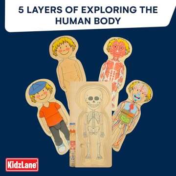 Kidzlane Boy Wooden My Body Puzzle for Toddlers & Kids - 29 Piece Boys Anatomy Puzzle Kid Play Set - Anatomy for Kids, Skeleton Toys for Kids Ages 3 Plus